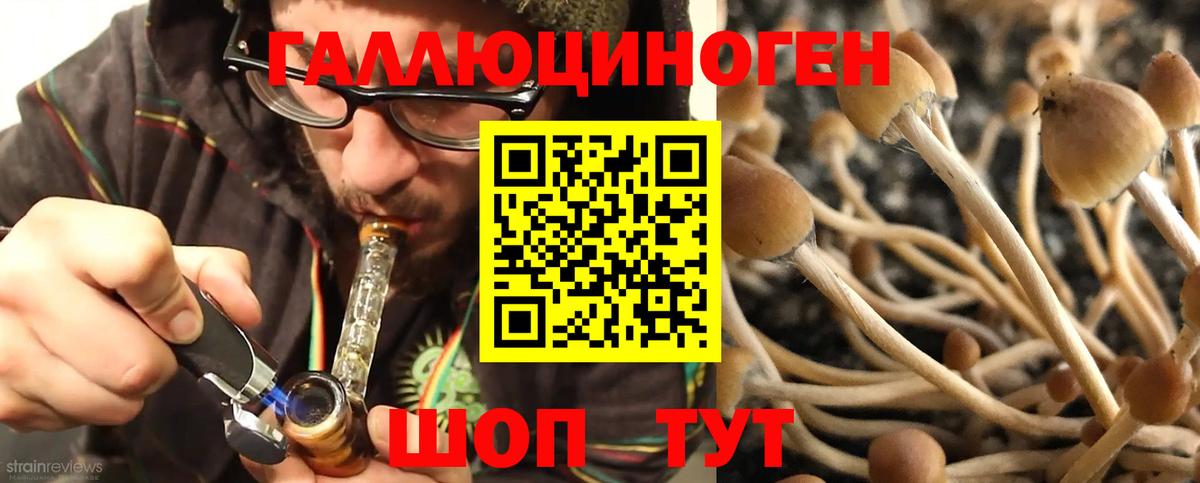 Галлюциногенные грибы ЛСД Торжок